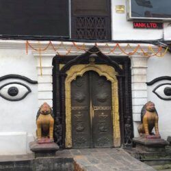 patan ojos